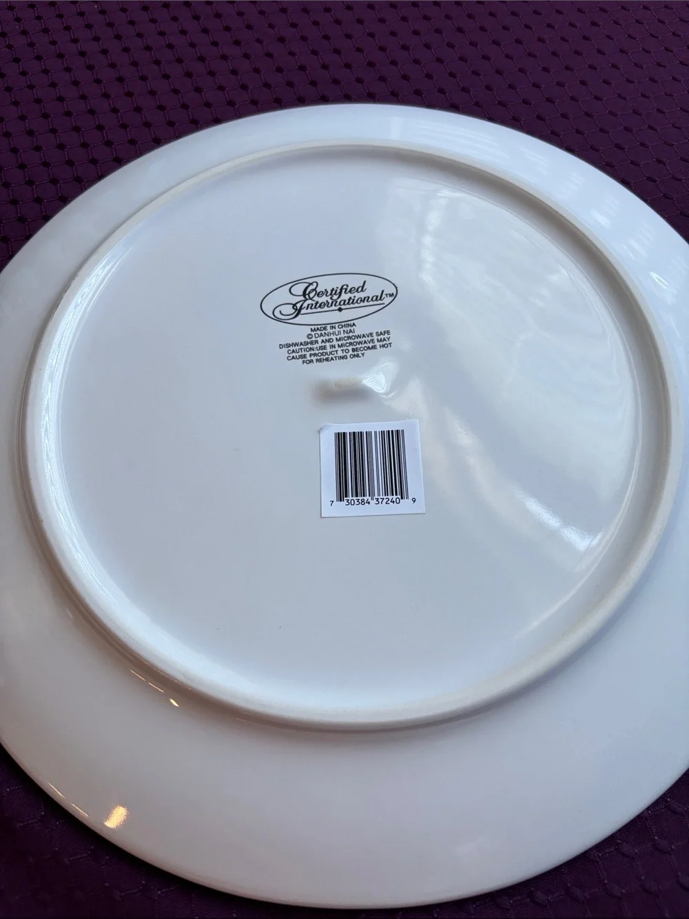 Set of 2 new “Autumn Harvest” dinner plates